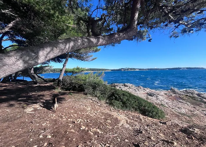 Istrian Azure פולה