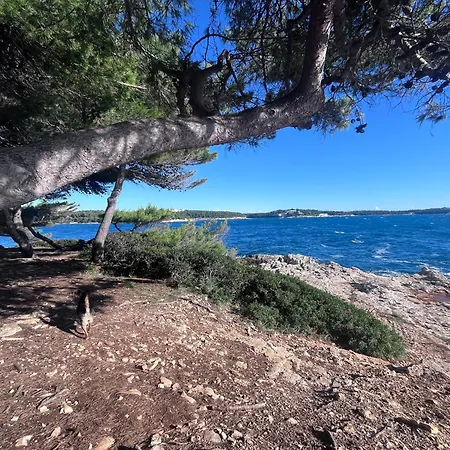 Istrian Azure 풀라